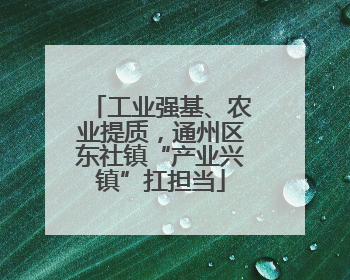 工业强基、农业提质，通州区东社镇“产业兴镇”扛担当
