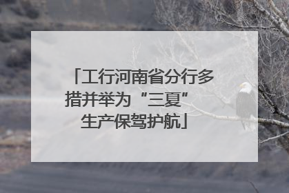 工行河南省分行多措并举为“三夏” 生产保驾护航