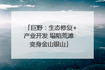 巨野：生态修复+产业开发 塌陷荒滩变身金山银山