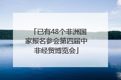 已有48个非洲国家报名参会第四届中非经贸博览会