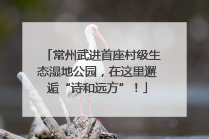 常州武进首座村级生态湿地公园，在这里邂逅“诗和远方”！