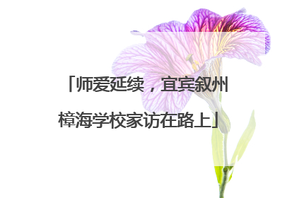 师爱延续，宜宾叙州樟海学校家访在路上