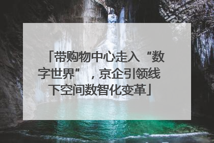 带购物中心走入“数字世界”，京企引领线下空间数智化变革