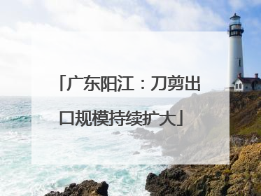 广东阳江：刀剪出口规模持续扩大