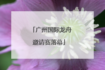 广州国际龙舟邀请赛落幕