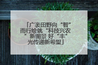 广袤田野向“智”而行绘就“科技兴农”新图景 好“丰”光传递新希望