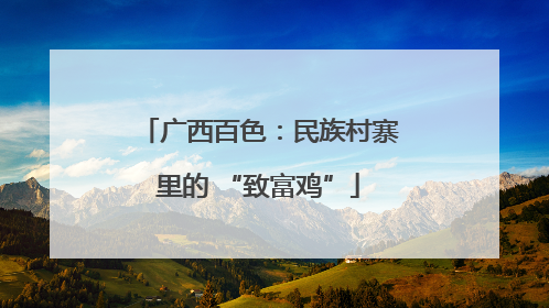 广西百色：民族村寨里的 “致富鸡”