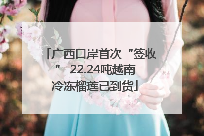 广西口岸首次“签收” 22.24吨越南冷冻榴莲已到货