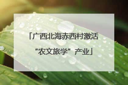 广西北海赤西村激活“农文旅学”产业