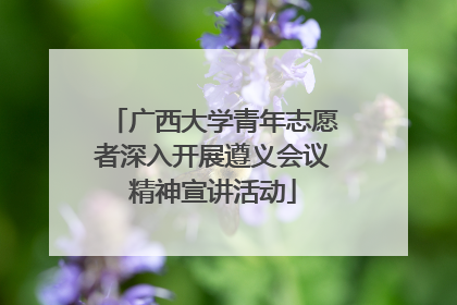 广西大学青年志愿者深入开展遵义会议精神宣讲活动