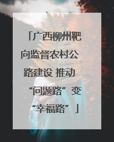 广西柳州靶向监督农村公路建设 推动“问题路”变“幸福路”