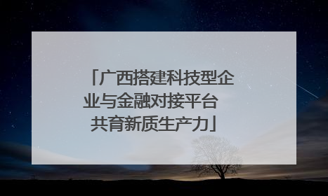 广西搭建科技型企业与金融对接平台 共育新质生产力