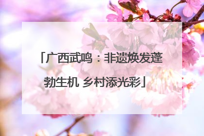 广西武鸣：非遗焕发蓬勃生机 乡村添光彩