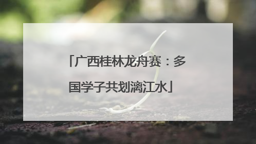 广西桂林龙舟赛：多国学子共划漓江水