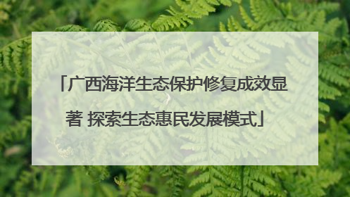 广西海洋生态保护修复成效显著 探索生态惠民发展模式