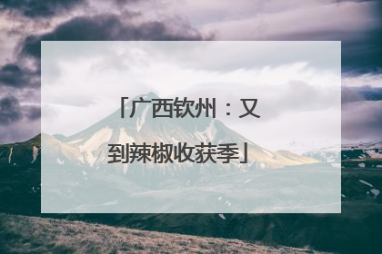 广西钦州：又到辣椒收获季