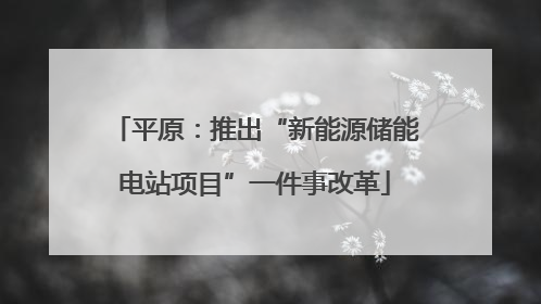平原：推出“新能源储能电站项目”一件事改革