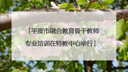 平度市融合教育骨干教师专业培训在特教中心举行