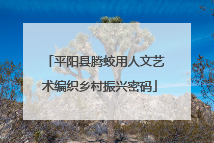 平阳县腾蛟用人文艺术编织乡村振兴密码
