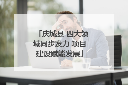 庆城县 四大领域同步发力 项目建设赋能发展