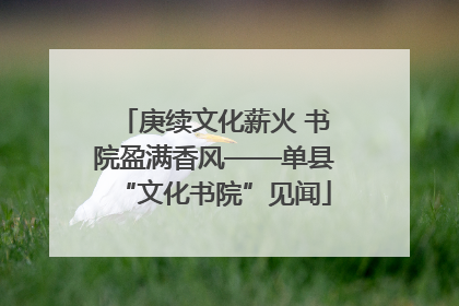 庚续文化薪火 书院盈满香风——单县“文化书院”见闻