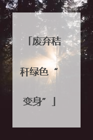 废弃秸秆绿色“变身”