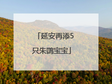 延安再添5只朱鹮宝宝