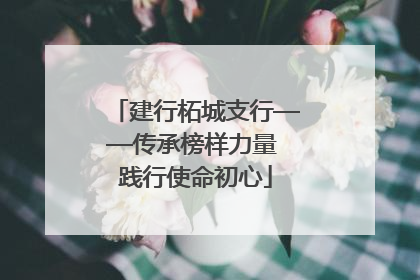 建行柘城支行——传承榜样力量 践行使命初心