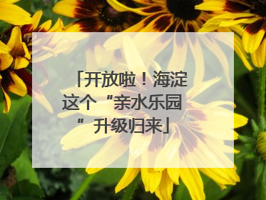 开放啦！海淀这个“亲水乐园”升级归来