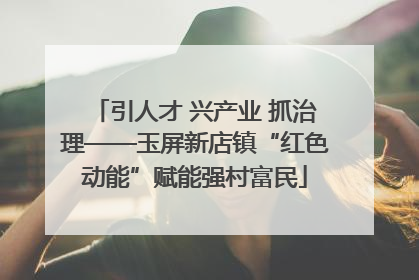 引人才 兴产业 抓治理——玉屏新店镇“红色动能”赋能强村富民