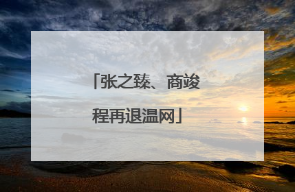张之臻、商竣程再退温网