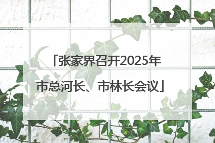 张家界召开2025年市总河长、市林长会议