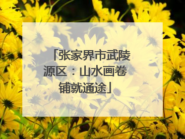 张家界市武陵源区：山水画卷铺就通途