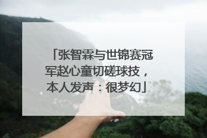 张智霖与世锦赛冠军赵心童切磋球技，本人发声：很梦幻