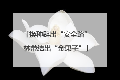 换种辟出“安全路” 林带结出“金果子”