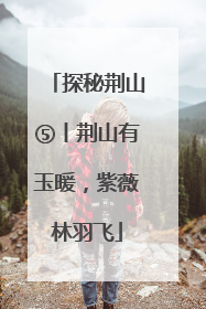 探秘荆山⑤丨荆山有玉暖，紫薇林羽飞