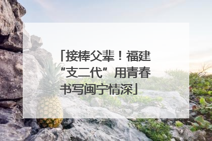 接棒父辈！福建“支二代”用青春书写闽宁情深