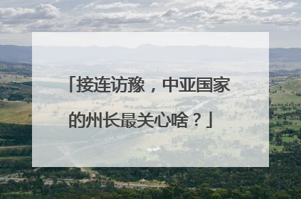 接连访豫，中亚国家的州长最关心啥？