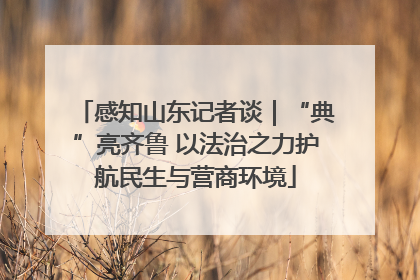 感知山东记者谈｜“典”亮齐鲁 以法治之力护航民生与营商环境