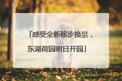 感受全新移步换景，东湖荷园明日开园