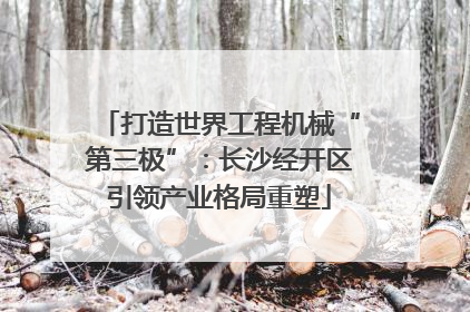 打造世界工程机械“第三极”：长沙经开区引领产业格局重塑