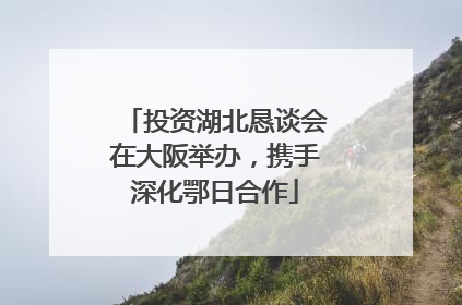 投资湖北恳谈会在大阪举办，携手深化鄂日合作