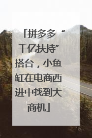 拼多多“千亿扶持”搭台，小鱼缸在电商西进中找到大商机