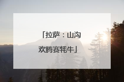拉萨：山沟欢腾赛牦牛