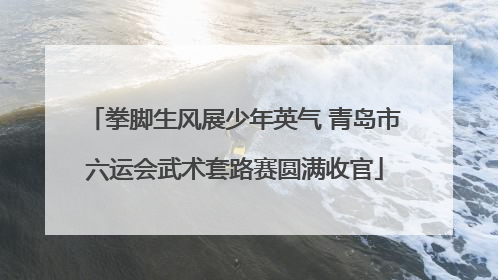 拳脚生风展少年英气 青岛市六运会武术套路赛圆满收官