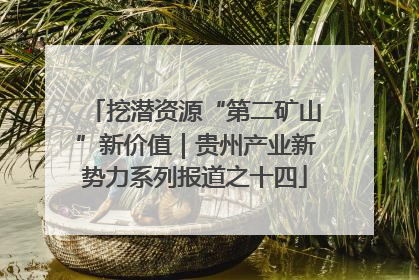 挖潜资源“第二矿山”新价值｜贵州产业新势力系列报道之十四
