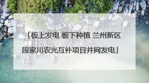 板上发电 板下种植 兰州新区段家川农光互补项目并网发电