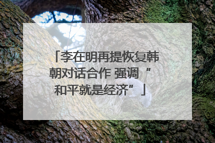 李在明再提恢复韩朝对话合作 强调“和平就是经济”