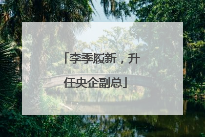 李季履新，升任央企副总