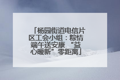 杨园街道电信片区工会小组：粽情端午送安康 “益心暖新”零距离